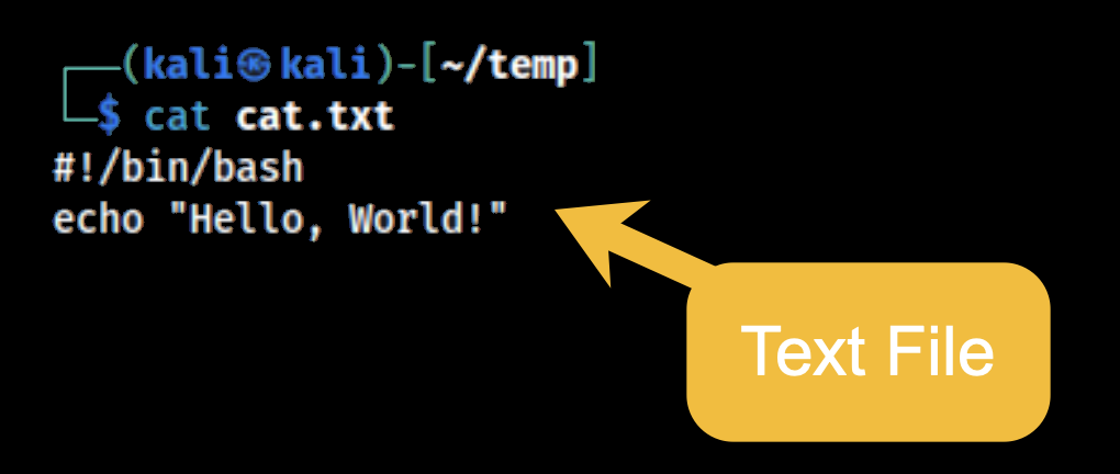 Created cat.txt with script contents
