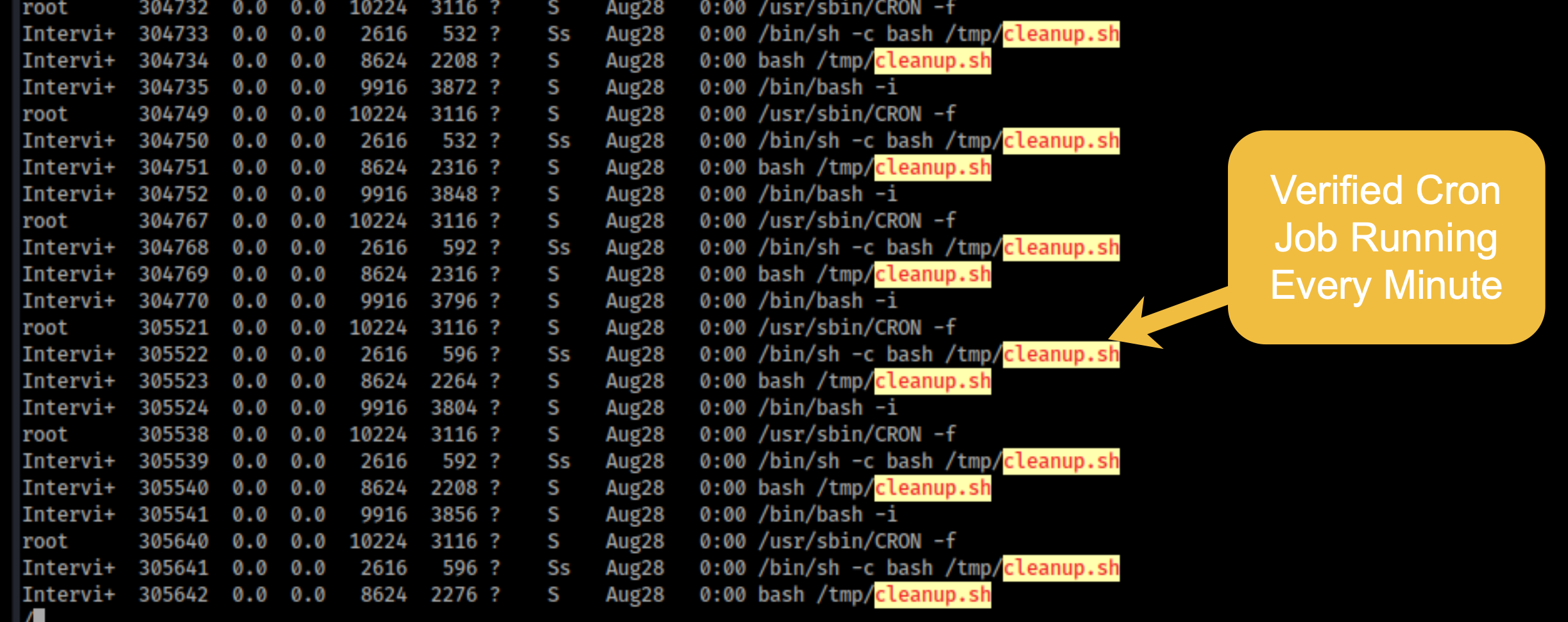 Cron job confirmed in process list