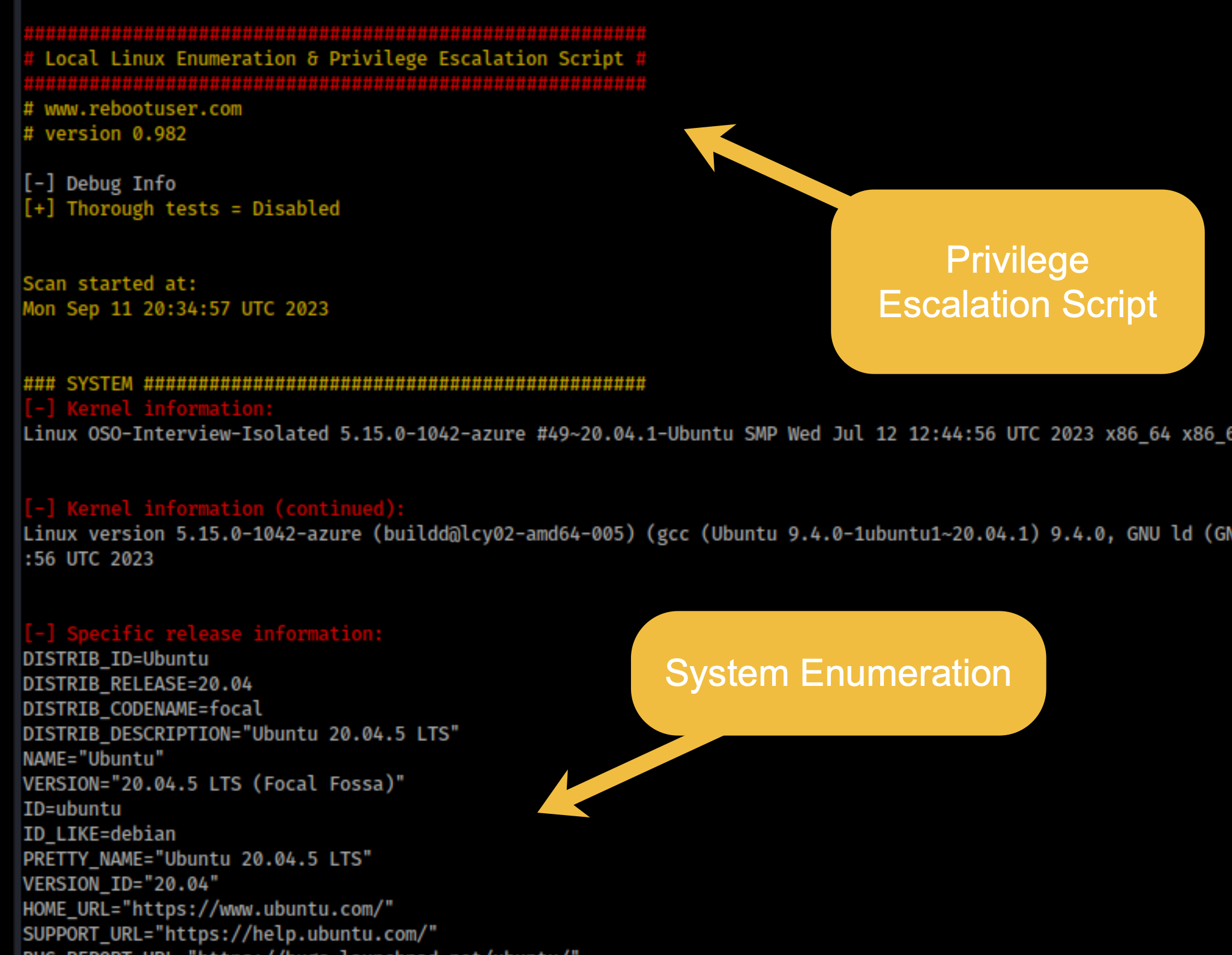 LinEnum output on the target