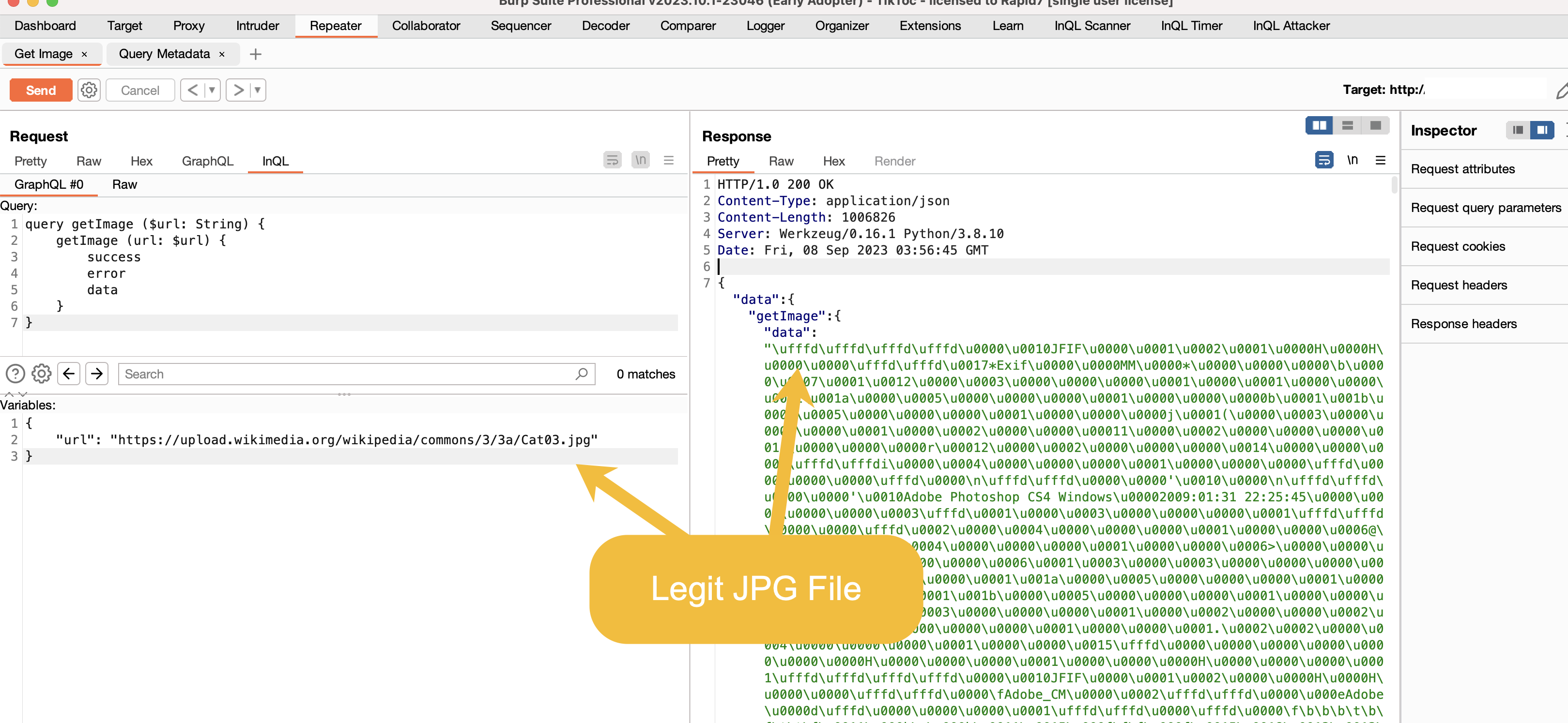 Legitimate JPEG fetched successfully