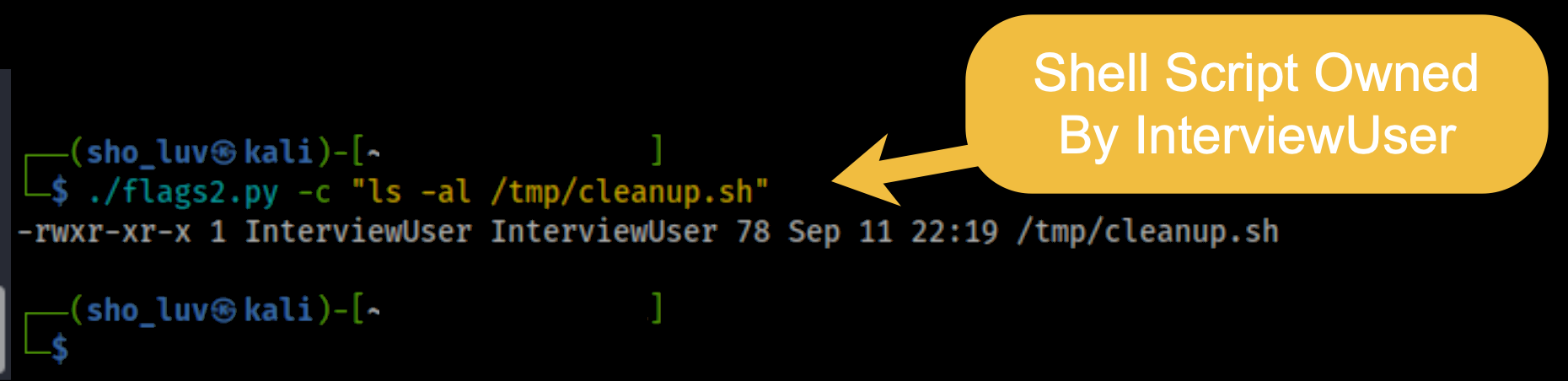 cleanup.sh owned by InterviewUser