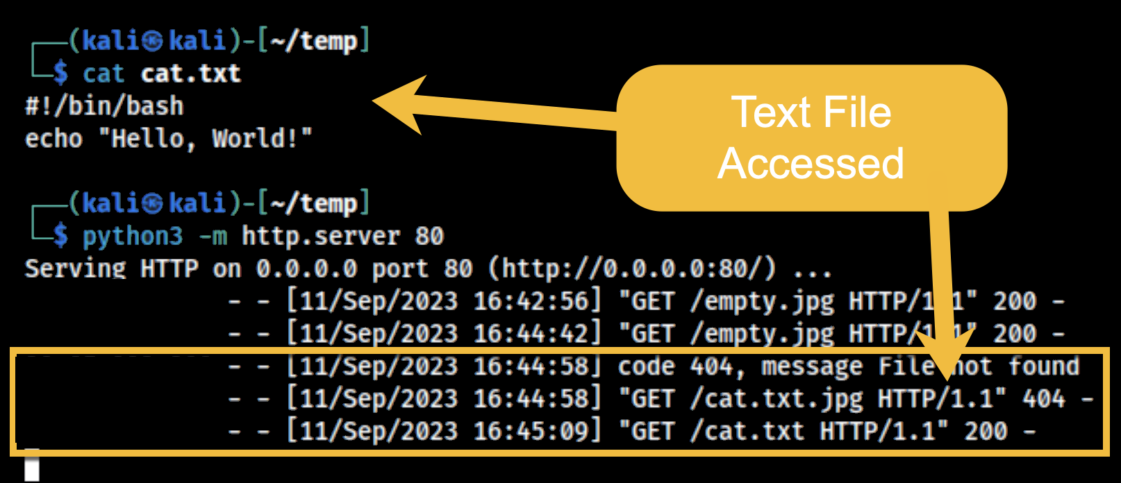 Server logs confirming the fetch of cat.txt